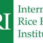Senior Scientist I job at International Rice Research Institute (IRRI)