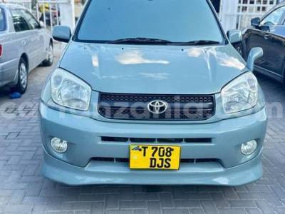 2007 Toyota RAV4
